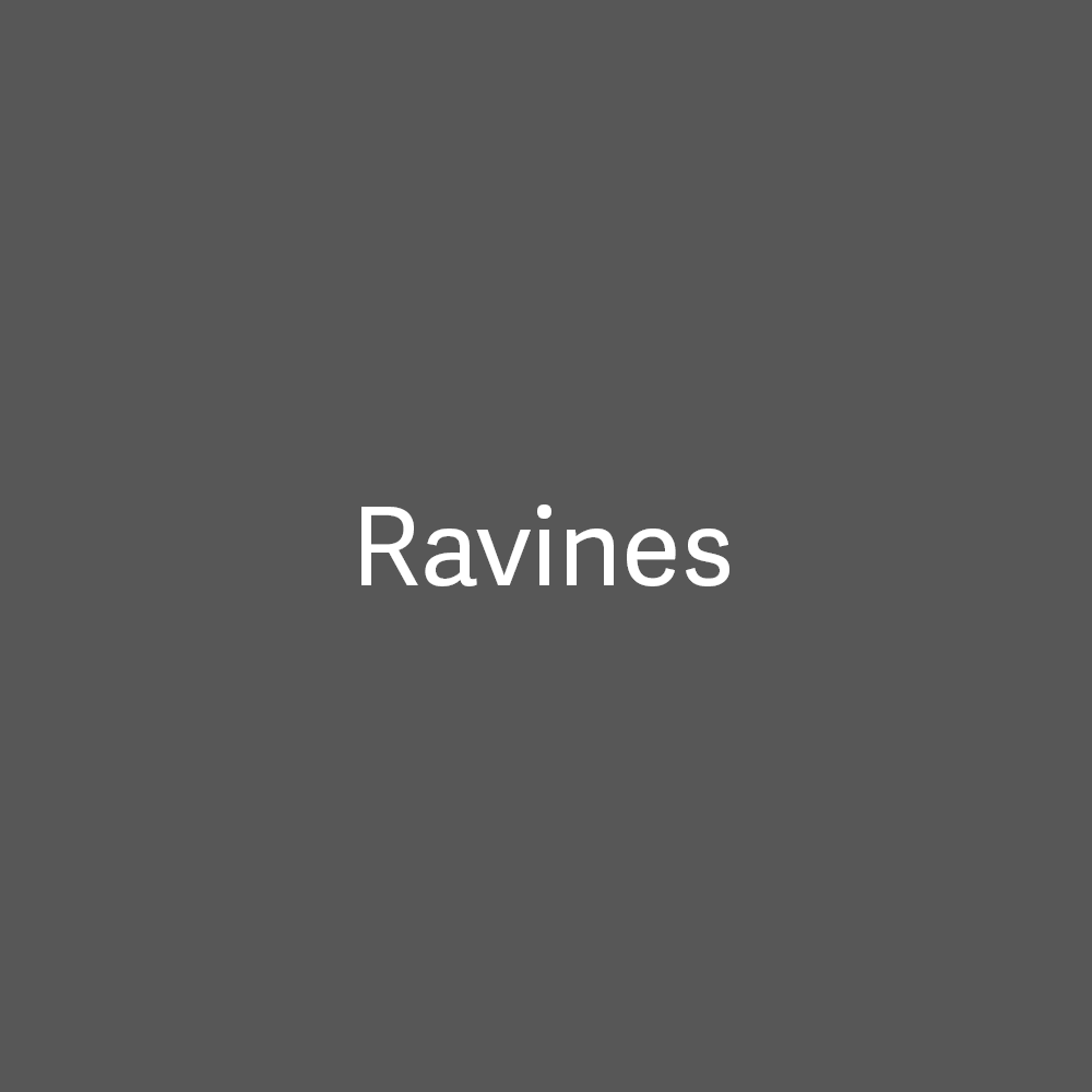 Ravines, apartments and homes for rent in Gainesville, FL.